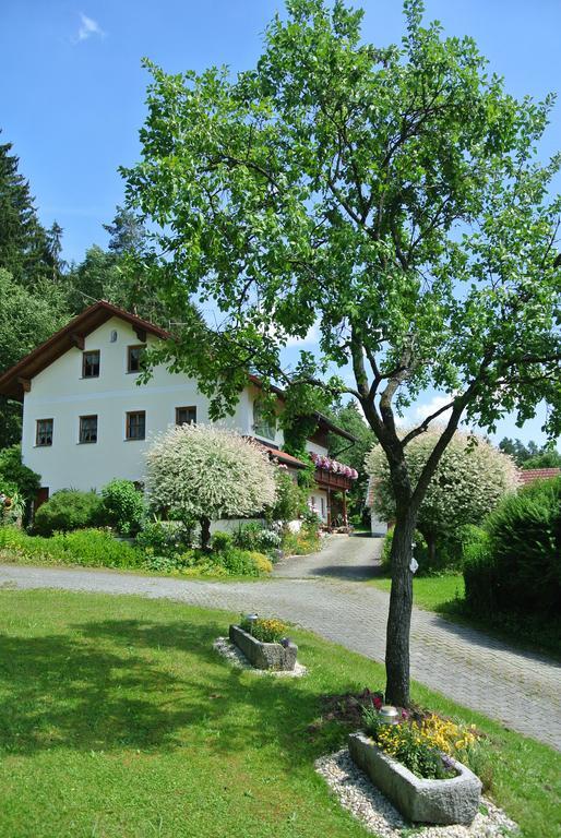 Haus Am Waldrand - Ferienwohnung Augustin Grafenau  Exterior foto
