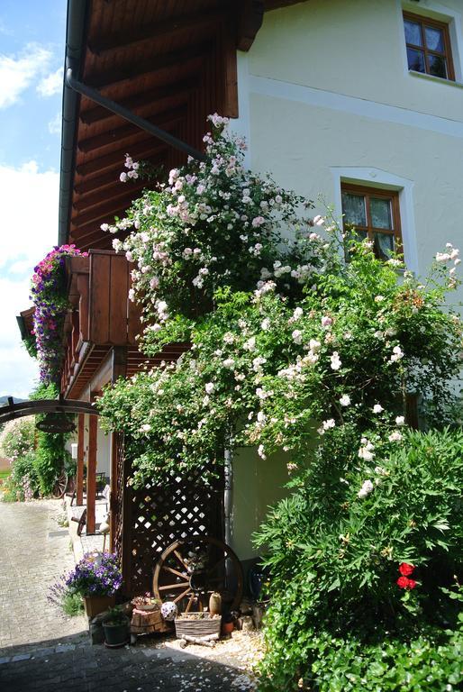 Haus Am Waldrand - Ferienwohnung Augustin Grafenau  Exterior foto